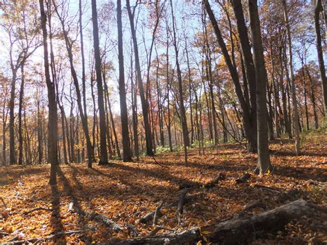 Tecumseh Land Trust 2020