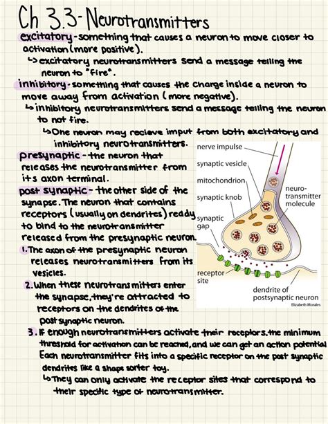 Psych 1113 Chapter 8 3 Tophat Notes Neurotransmitters Ch33