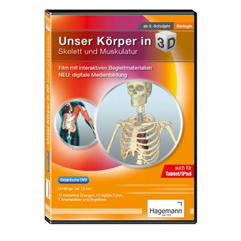 Didaktische Dvd Unser K Rper In D Skelett Und Muskulatur