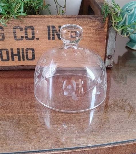 Vintage Etched Clear Glass Cloche Etsy