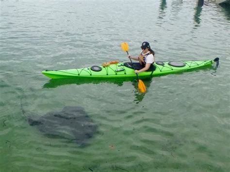 Kayaking Jervis Bay Sea Kayaking Tour Review