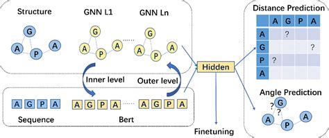 PDF Structure Aware Protein Self Supervised Learning Semantic Scholar