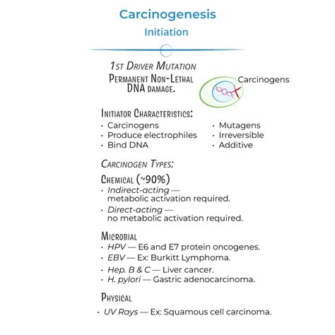 Clinical Pathology Glossary Carcinogenesis Ditki Medical