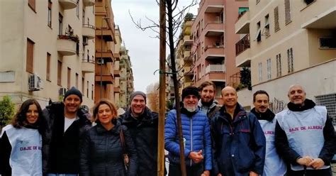 Nuove Piante In Via Lanciani Procede Il Progetto Green Di Daje De