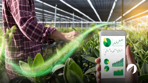 Innovación En La Agricultura Herramientas Para El éxito De Tus