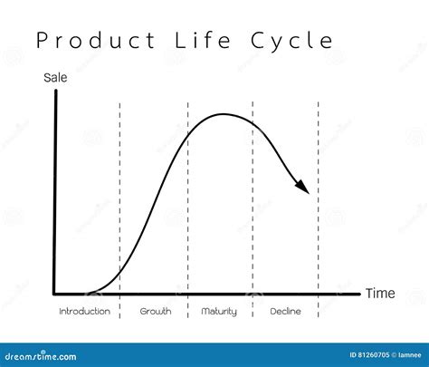 Product Life Cycle Of Zara Chart