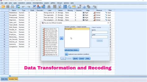 Data Transformation Using Spss Recoding Different Variables Youtube