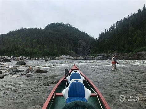 Québec Fishing The Complete Guide For 2024