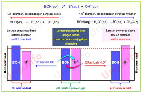 Unduh Diagram Penambahan Sedikit Asam Kuat Dan Basa Kuat Ke Dalam