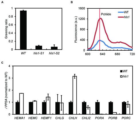 Frontiers Phytochrome And Ethylene Signaling Integration In