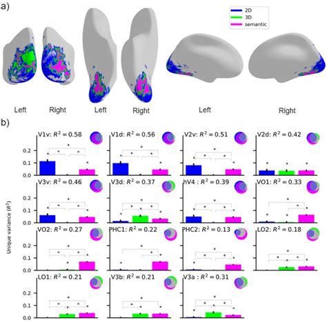 Functional mapping of the visual cortex with respect to 2D, 3D and ...