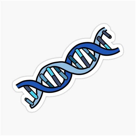 DNA Double Helix Sticker For Sale By Anastasia 4 Art Cute Laptop