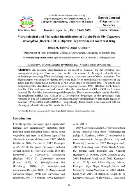 PDF Morphological And Molecular Identification Of Jujube Fruit Fly