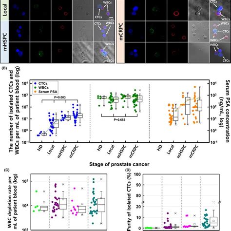 A The Numbers Of Isolated Circulating Tumor Cells Ctcs From Healthy