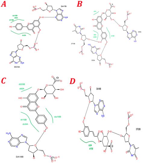 The 2d Plots Of Interaction Between A Apigenin B Download