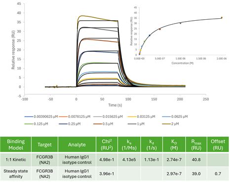 Fcgr3b Spr Assay Service Reaction Biology