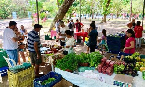 Sábado 16 tem feira agroecológica na Área Adahil Barreto do Cocó