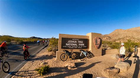 Joshua Tree 55 Unscripted6160