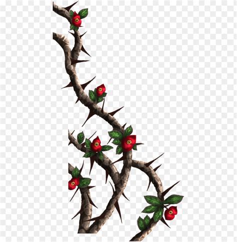 Rose Thorns Png Transparent With Clear Background Id 81355 Toppng