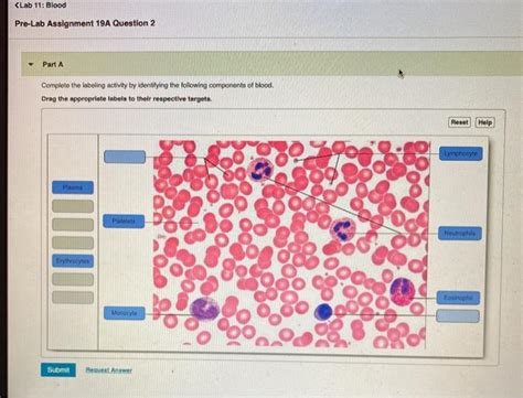 Solved Question Chegg