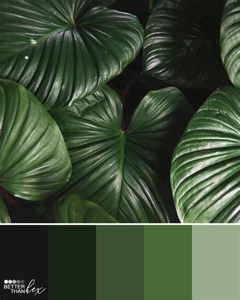 Stunning Color Palettes for Home Decor and Design