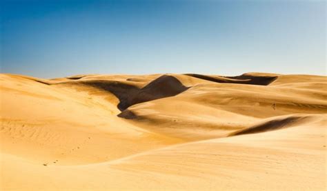 Dunes Beach at Half Moon Bay State Beach in Half Moon Bay, CA - California Beaches