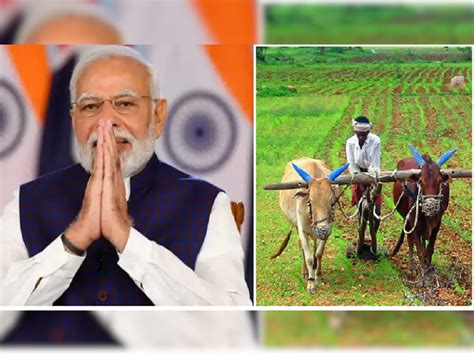 Prime Minister Narendra Modi Introduced One Nation One Fertilizer