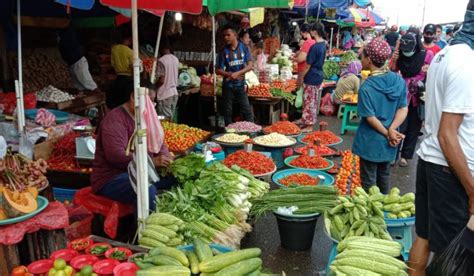 Harga Berbagai Jenis Sayuran Di Ambon Normal