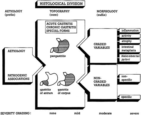 The Sydney System For Classification Of Gastritis Years Ago