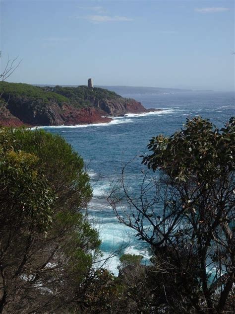 Boyd Tower To Saltwater Creek Hike 134km Beowa Ben Boyd National