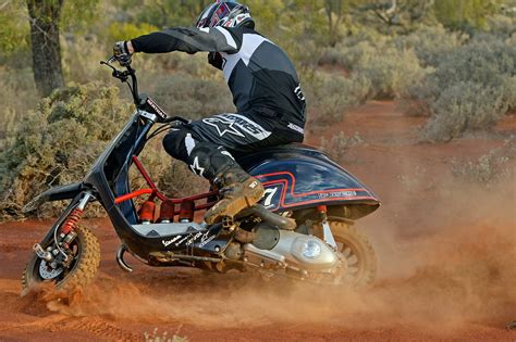 Off Road Scooters With Big Tires