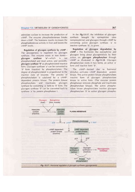 Biochemistry Satyanarayana Chakrapani Cbbxch 1 31 Chapter 13