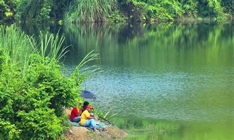 Kenali Komponen Utama Dan Penting Enjin Sangkut Umpan