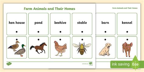 Farm Animals and Their Homes Thread Matching Activity