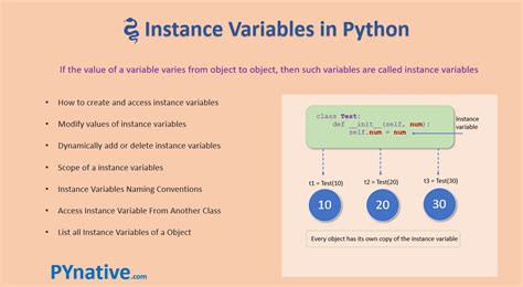 Python Instance Variables With Examples Pynative