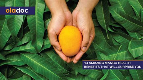 Mango Health Benefits 14 Amazing Reasons To Eat Mangoes