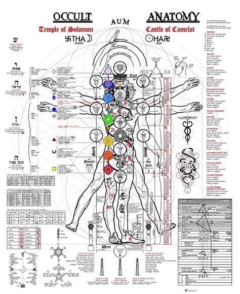 A Fascinating Illustration Of The Occult Anatomy Of Man Aleph