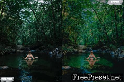 Instagram Potrait Lightroom Presets Dekstop Mobile E