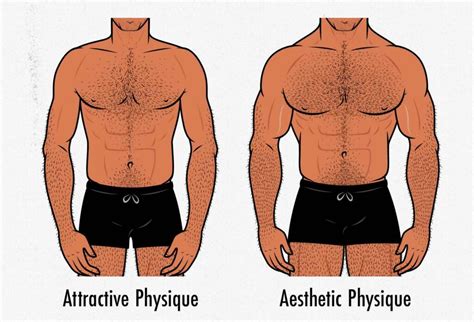 The Skinny Guys Guide To Aesthetics How To Build An Attractive Physique