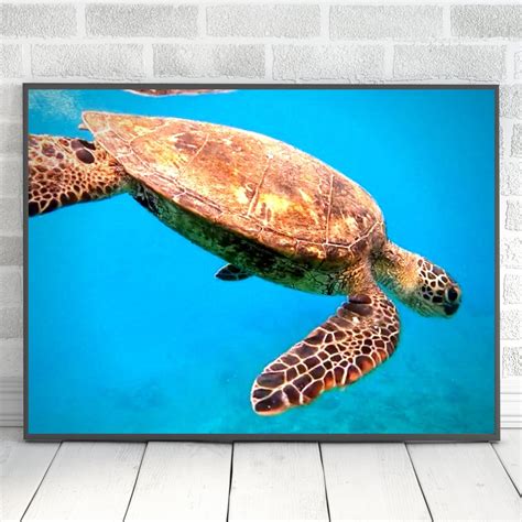 Sea Turtle Digital Download Photography Instant Printable Art Ocean ...