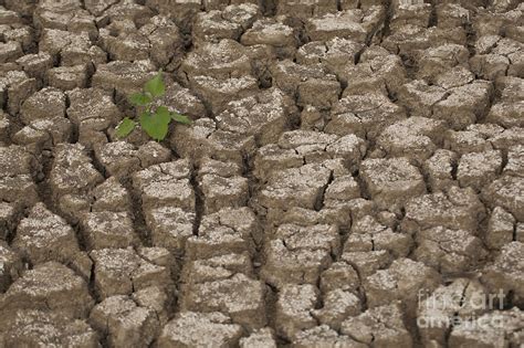 Dry Cracked Mud Photograph By Eyal Bartov Fine Art America