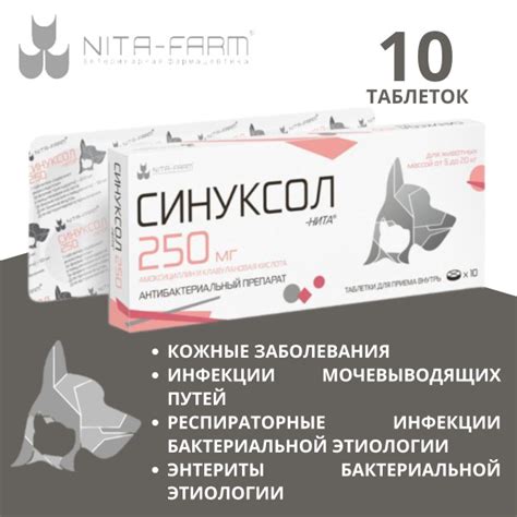 СИНУКСОЛ-НИТА 250 мг, 10 таблеток купить на OZON по низкой цене ...