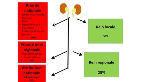 Ppt Evolution De La Greffe R Nale En France Powerpoint Presentation