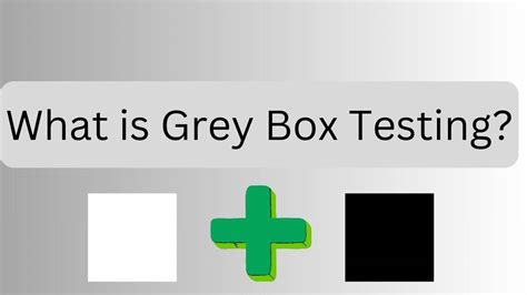 Grey Box Testing