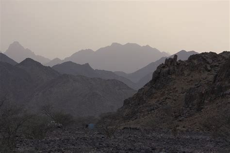 Birding Sudan The Red Sea Hills North Of Port Sudan