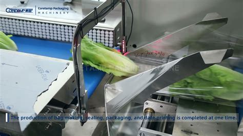 Automatic Fresh Lettuce Packing Machine YouTube