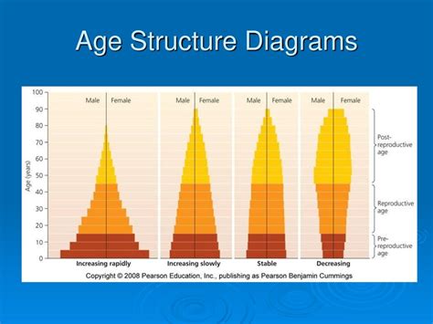 How To Interpret Age Structure Diagrams Solved Population