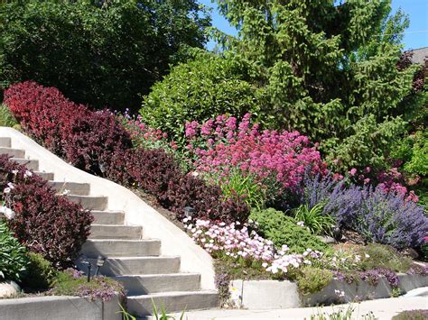 13 Sloping Garden Ideas On A Budget