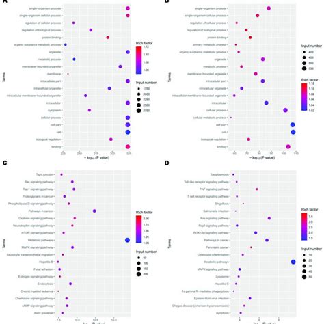 Macrophage Exosome MiRNAs Differential Expression Analysis A