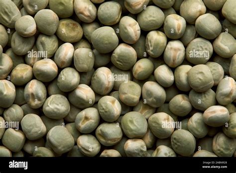 Animal Feed Peas Hi Res Stock Photography And Images Alamy